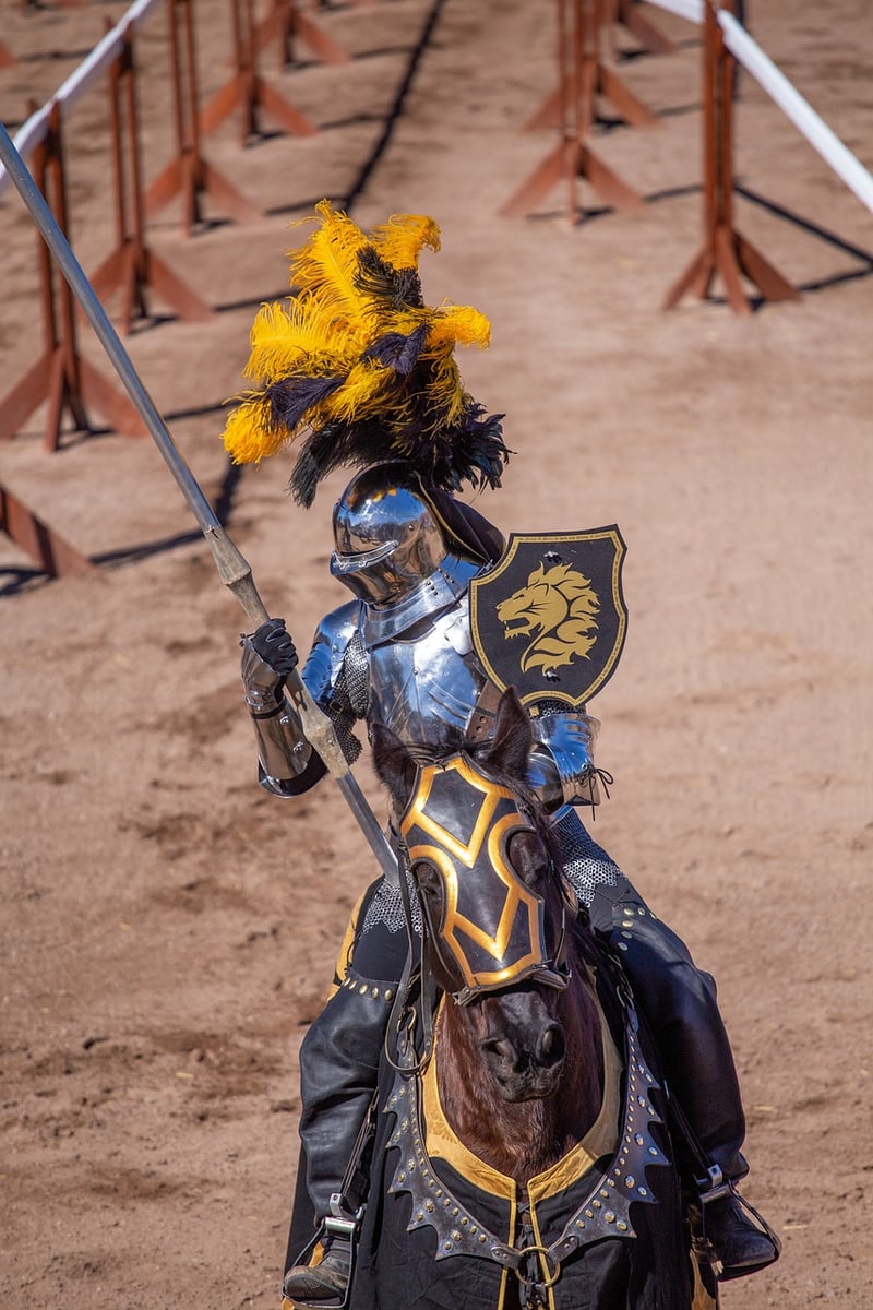 Medieval Knight
